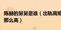 陈赫的舅舅是谁(出轨离婚的他为什么人气还那么高)