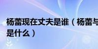 杨蕾现在丈夫是谁(杨蕾与戴志诚离婚的原因是什么)