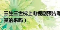 三生三世枕上电视剧预告曝光(这波颜值你欣赏的来吗)
