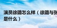 演员徐璐怎么样(徐璐与张铭恩的分手原因会是什么)