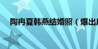 陶冉夏韩燕结婚照(爆出后网友惊呆了)