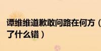 谭维维道歉敢问路在何方(粉丝疑惑谭维维翻了什么错)