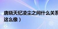 唐晓天纪凌尘之间什么关系(为什么两人长的这么像)