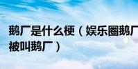 鹅厂是什么梗(娱乐圈鹅厂是哪家公司为什么被叫鹅厂)