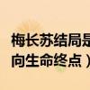梅长苏结局是什么（无望的悲凉中吹起号角走向生命终点）