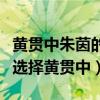 黄贯中朱茵的爱情故事（揭秘女神朱茵为什么选择黄贯中）