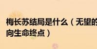梅长苏结局是什么(无望的悲凉中吹起号角走向生命终点)