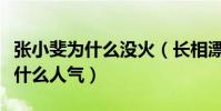 张小斐为什么没火(长相漂亮演技不错的她没什么人气)