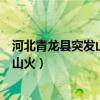 河北青龙县突发山火（消防员救火现场曝光为什么突然引发山火）