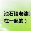 池石镇老婆叫什么（两人是是通过刘在石介绍在一起的）