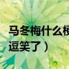 马冬梅什么梗（看电影夏洛特烦恼时候被大爷逗笑了）
