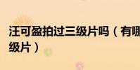 汪可盈拍过三级片吗(有哪个富二代跑去拍三级片)