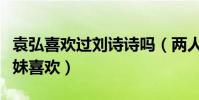 袁弘喜欢过刘诗诗吗(两人的喜欢是纯粹的兄妹喜欢)