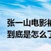 张一山电影被爆只有500万成绩（网友直呼这到底是怎么了）