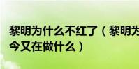 黎明为什么不红了(黎明为什么隐退娱乐圈如今又在做什么)