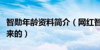 智勋年龄资料简介(网红智勋是怎么开始红起来的)