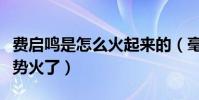 费启鸣是怎么火起来的(毫无防备的以刷屏姿势火了)