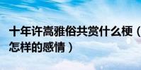 十年许嵩雅俗共赏什么梗(雅俗共赏表达的是怎样的感情)