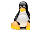 2月17日Linux开发人员修复了可追溯到五年前的严重漏洞