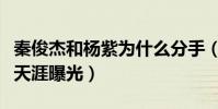 秦俊杰和杨紫为什么分手(圈里追求杨紫的人天涯曝光)