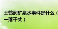 王鹤润矿泉水事件是什么(回顾详情小花形象一落千丈)
