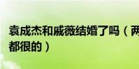袁成杰和戚薇结婚了吗(两人各自的婚姻状况都很的)