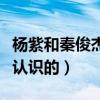 杨紫和秦俊杰分手的原因是什么（他们是怎么认识的）