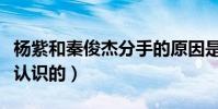 杨紫和秦俊杰分手的原因是什么(他们是怎么认识的)