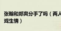 张翰和郑爽分手了吗(两人因合作流星雨而因戏生情)