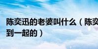 陈奕迅的老婆叫什么(陈奕迅与妻子是如何走到一起的)