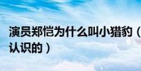 演员郑恺为什么叫小猎豹(郑恺与苗苗是怎么认识的)