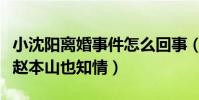 小沈阳离婚事件怎么回事(网曝小三堕胎相逼赵本山也知情)