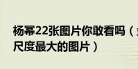 杨幂22张图片你敢看吗(盘点杨幂出道以来尺度最大的图片)