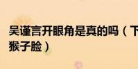 吴谨言开眼角是真的吗(下巴太尖被网友吐槽猴子脸)