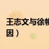 王志文与徐帆是什么关系（王志文徐帆分手原因）