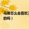 马蓉怎么会喜欢王宝强（马蓉不喜欢王宝强喜欢他的钱是真的吗）