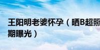 王阳明老婆怀孕(晒B超照宣布怀孕喜讯预产期曝光)