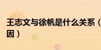 王志文与徐帆是什么关系(王志文徐帆分手原因)