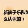 新裤子乐队彭磊的老婆是谁（彭磊和妻子是怎么认识的）