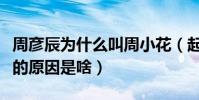 周彦辰为什么叫周小花(起底周彦辰叫周小花的原因是啥)