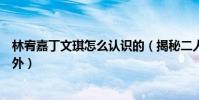 林宥嘉丁文琪怎么认识的(揭秘二人相识相知全过程让人意外)