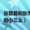 张碧晨和张杰怎么回事（张碧晨真的当了张杰的小三么）