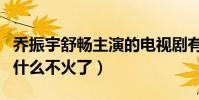 乔振宇舒畅主演的电视剧有哪些(舒畅现在为什么不火了)