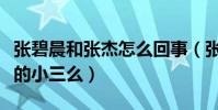 张碧晨和张杰怎么回事(张碧晨真的当了张杰的小三么)