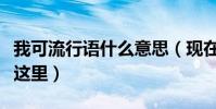 我可流行语什么意思(现在来科普一下答案在这里)