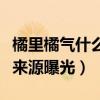 橘里橘气什么意思（橘里橘气这个词出自哪里来源曝光）