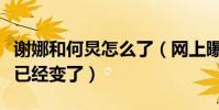 谢娜和何炅怎么了(网上曝出谢娜和何炅关系已经变了)