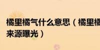 橘里橘气什么意思(橘里橘气这个词出自哪里来源曝光)