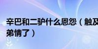 辛巴和二驴什么恩怨(触及到金钱利益就没兄弟情了)