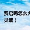 费启鸣怎么火的（他有着帅气的外表跟有趣的灵魂）